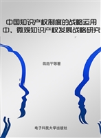 中国知识产权制度的战