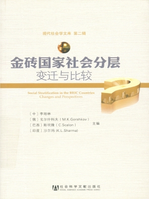 金砖国家社会分层——
