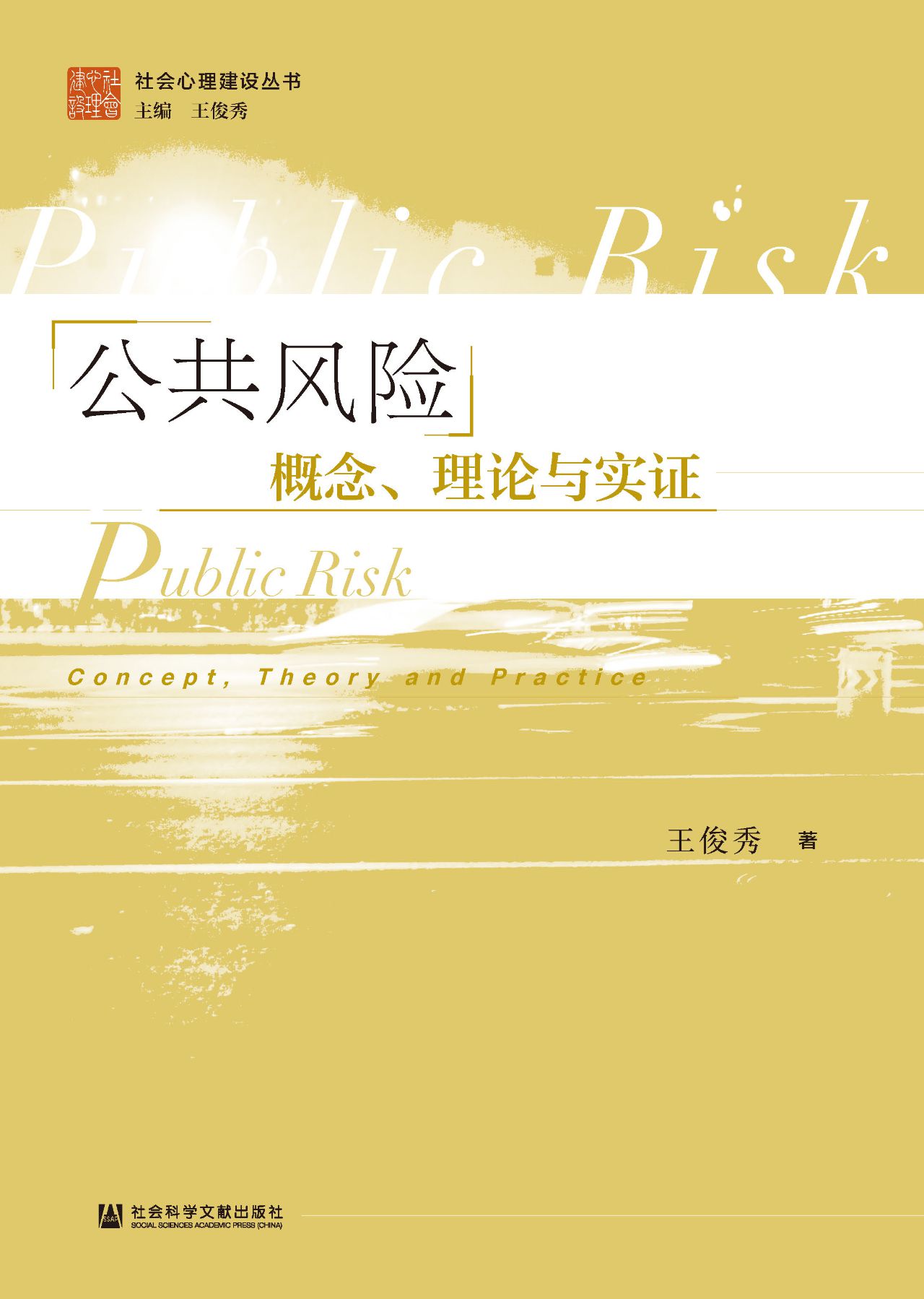 公共风险：概念、理论与