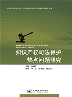 知识产权司法保护热点