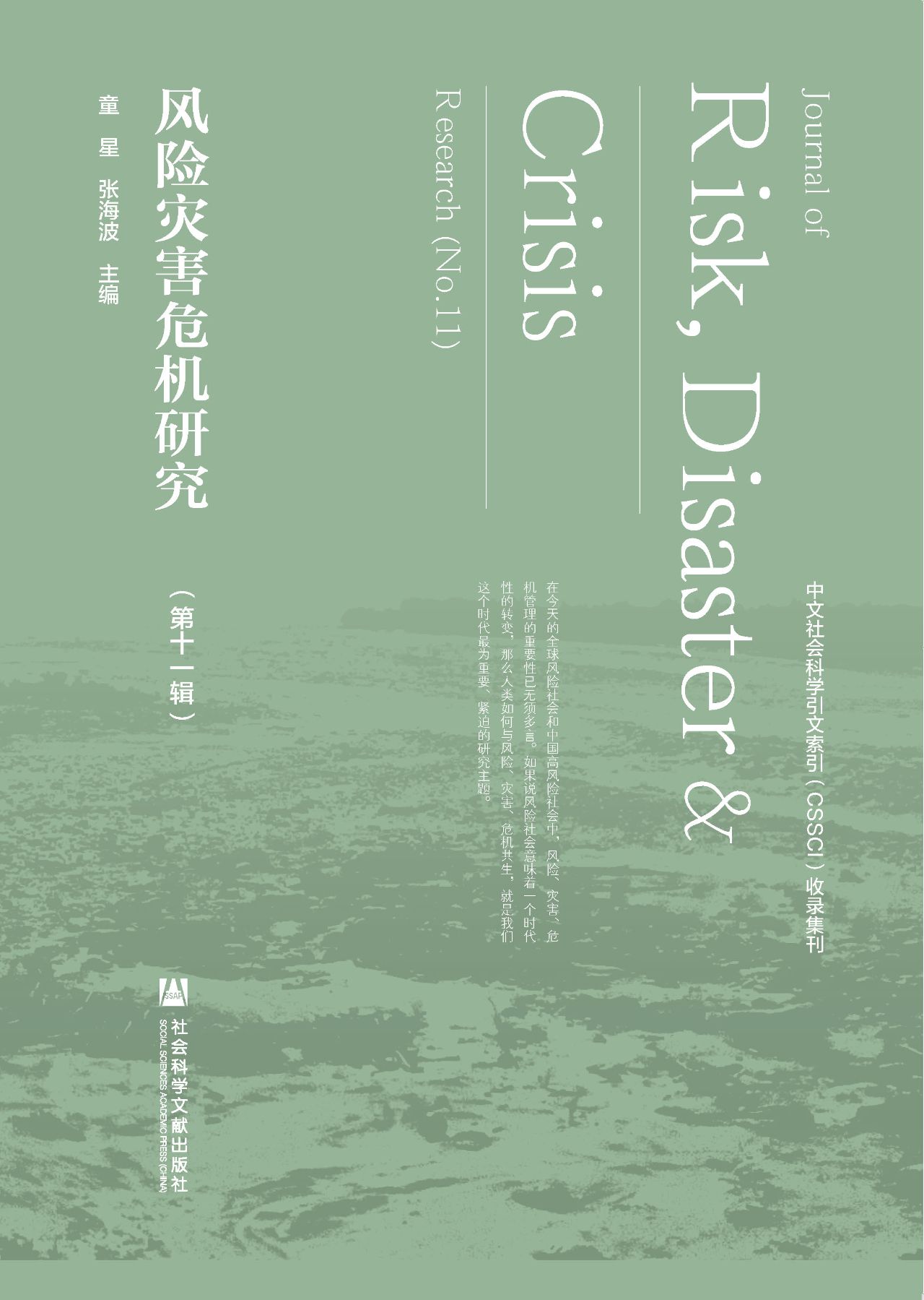 风险灾害危机研究（第11