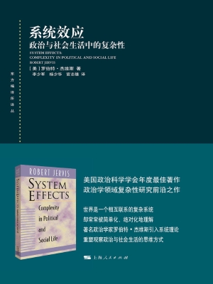 系统效应——政治与社