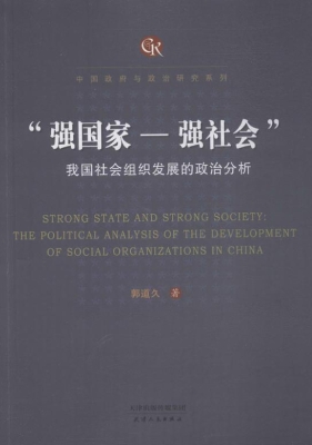 “强国家—强社会”：我