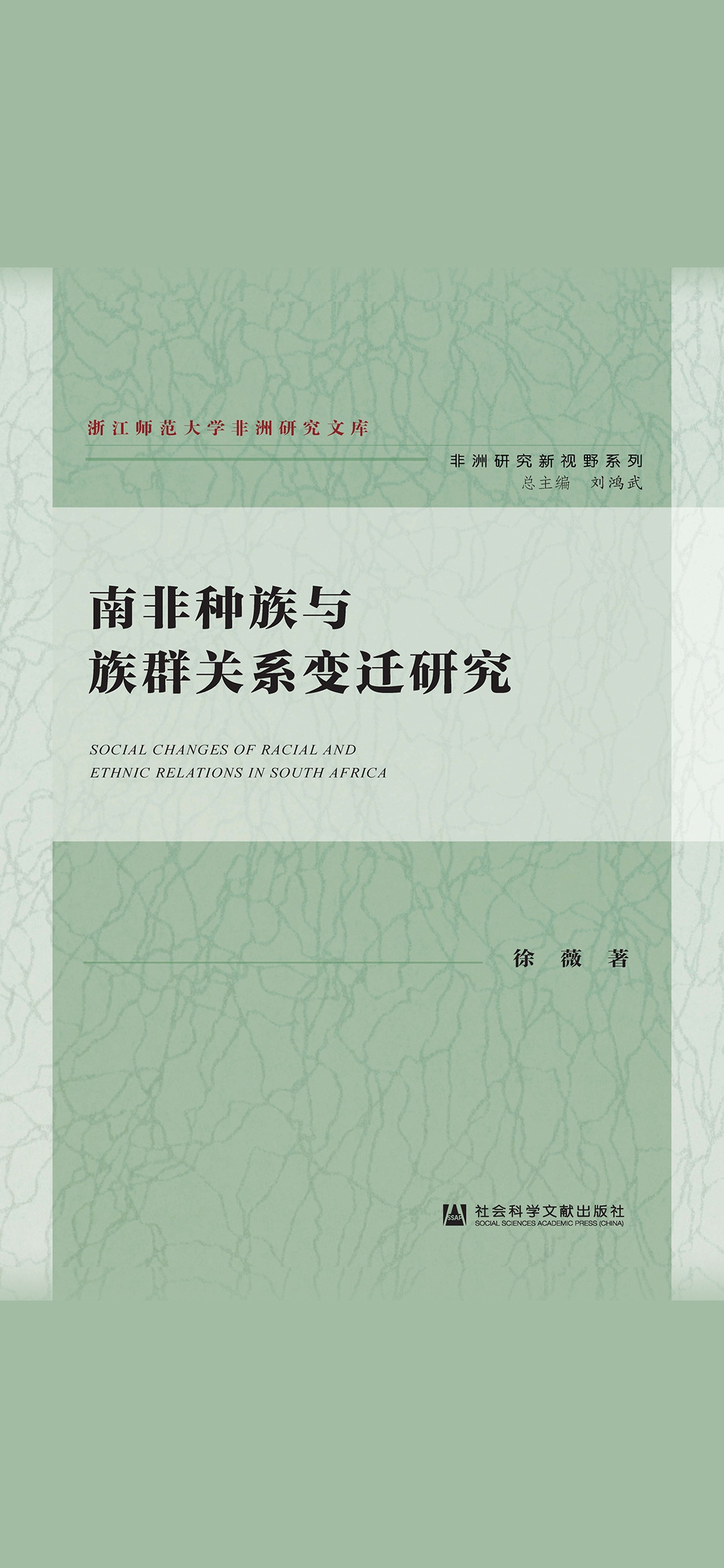 南非种族与族群关系变