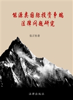 能源类国际投资争端法