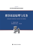 刑事诉讼原理与实务