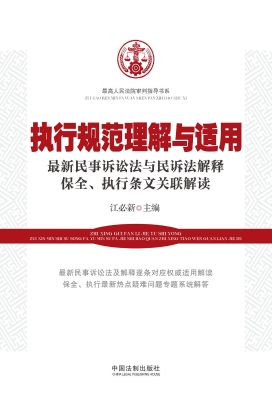 执行规范理解与适用—