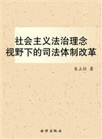 社会主义法治理念视野