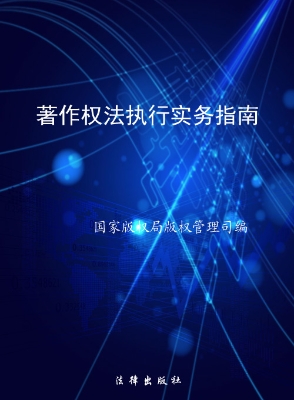著作权法执行实务指南