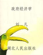政府经济学