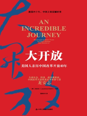 大开放：美国人亲历中国