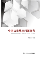 中国法律热点问题研究