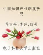 中国知识产权制度研究