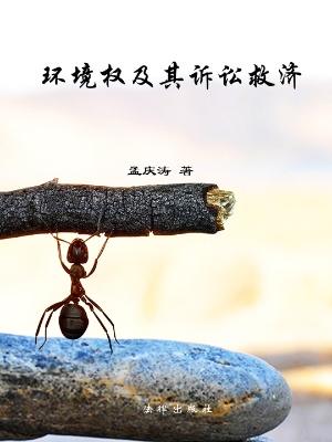 环境权及其诉讼救济