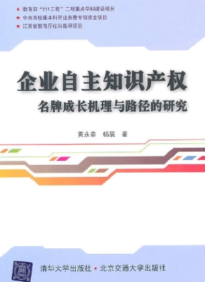 企业自主知识产权名牌