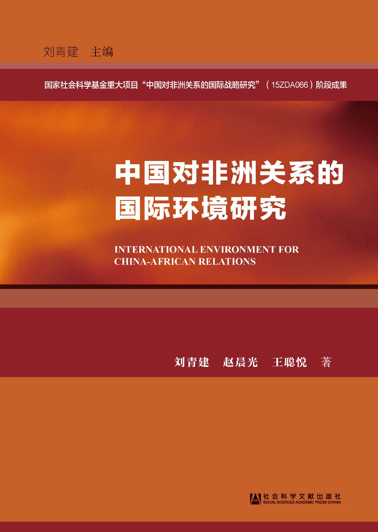 中国对非洲关系的国际