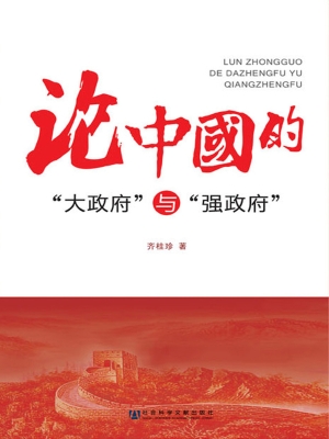 论中国的“大政府”与