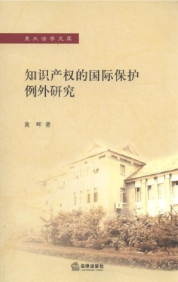 知识产权的国际保护例