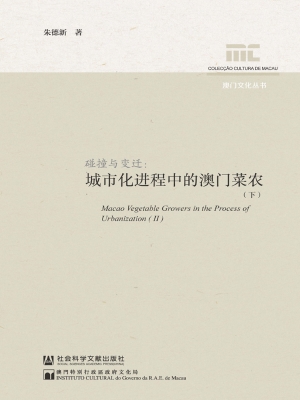 碰撞与变迁：城市化进程