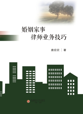 婚姻家事律师业务技巧