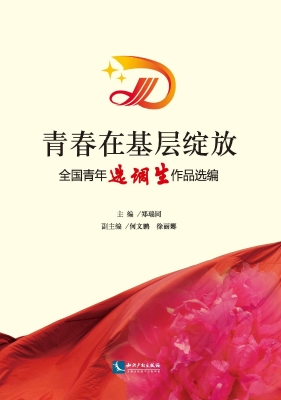 青春在基层绽放——全