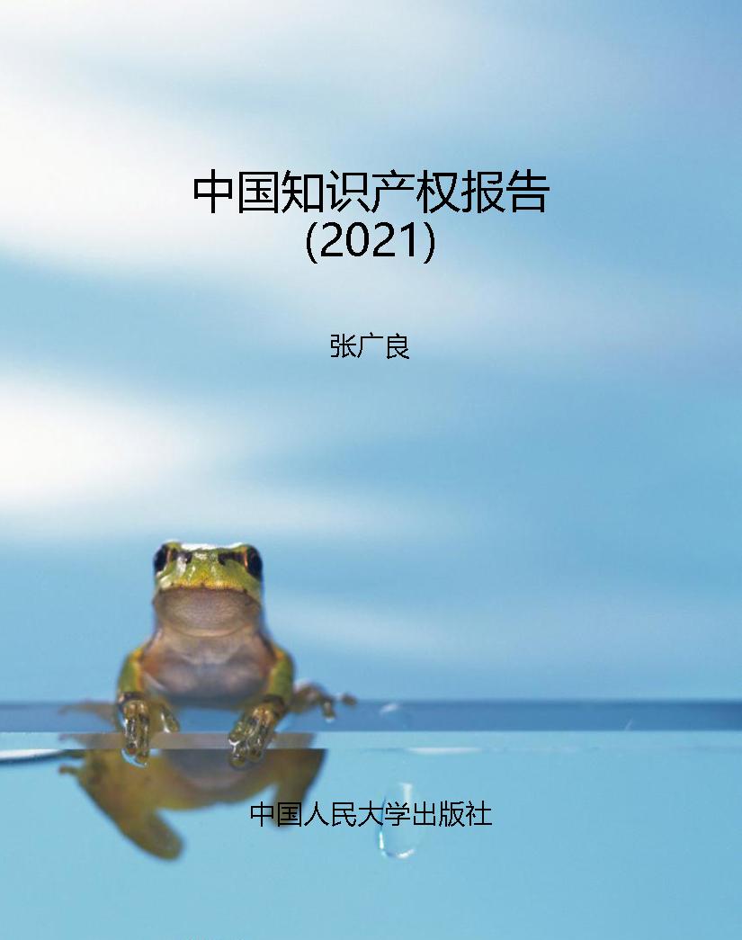 中国知识产权报告（2021