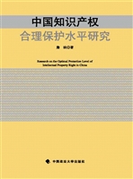 中国知识产权合理保护