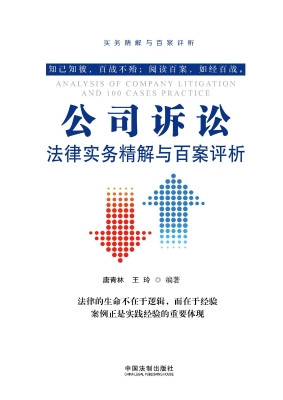 公司诉讼法律实务精解