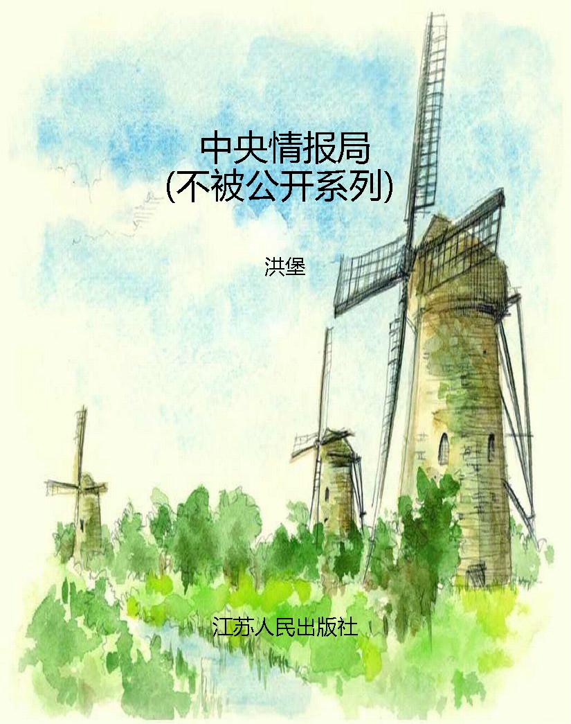 中央情报局（不被公开系