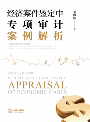 经济案件鉴定中专项审