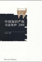 中国知识产权司法保护