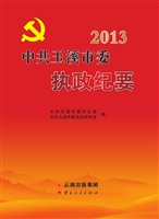 2013中共玉溪市委执政