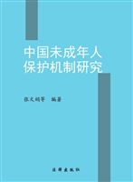 中国未成年人保护机制