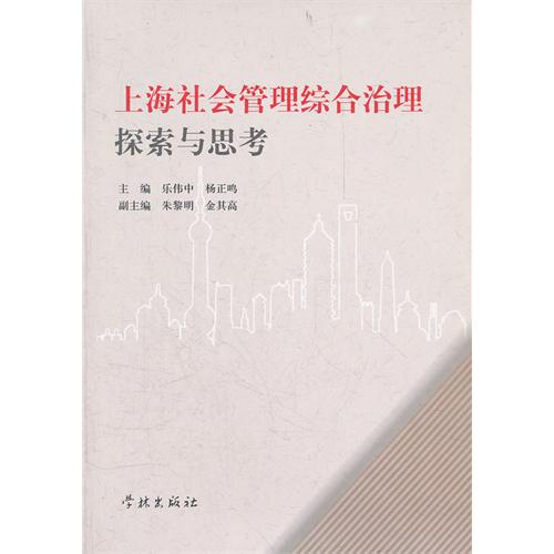 上海社会管理综合治理