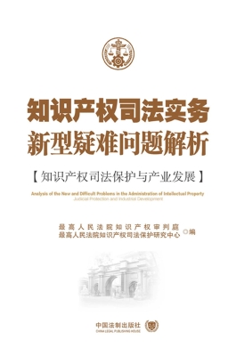 知识产权司法实务新型