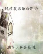 晚清政治革命新论