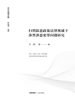 扫黑除恶政策法律视域