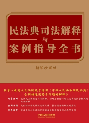 民法典司法解释与案例