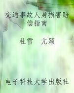 交通事故人身损害赔偿