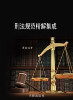 刑法规范精解集成