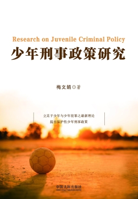 少年刑事政策研究
