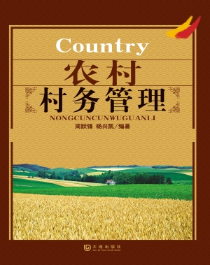 农村村务管理