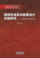 民族区域自治制度运行