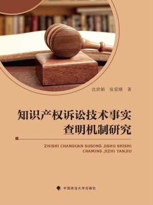 知识产权诉讼技术事实