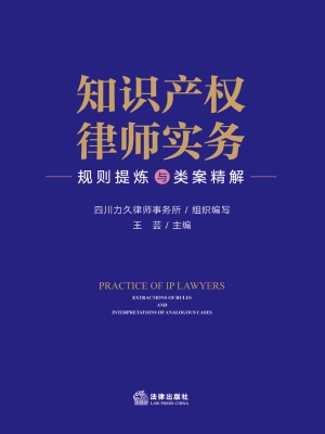 知识产权律师实务：规则