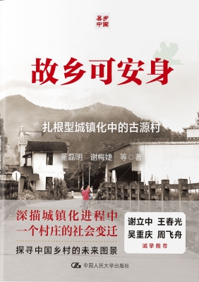 故乡可安身：扎根型城镇