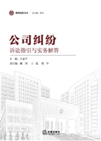 公司纠纷诉讼指引与实