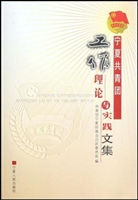 宁夏共青团工作理论与