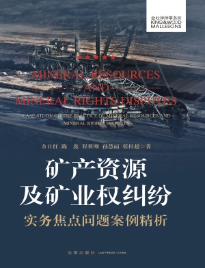 矿产资源及矿业权纠纷