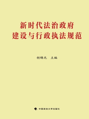 新时代法治政府建设与